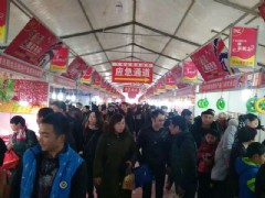 蕪湖市南翔萬商官徒門文化大集
