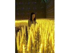 燈光展覽